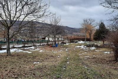 Oportunitate de investitie, teren intravilan Husi, 10435 mp - 3