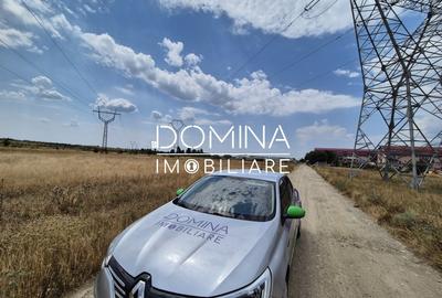 Teren agricol extravilan de 2622 mp, în Artego - 4