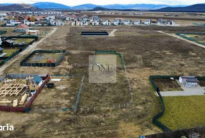 Teren de 866 mp, în Hoghiz - 14