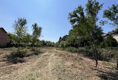 Teren de 2537 mp, în Siliștea Snagovului - 5