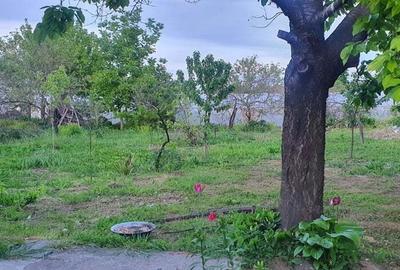 Casă cu 6 camere în Moldoveni - 1