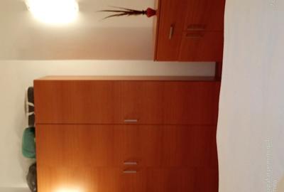 Apartament 2 Camere Paraul Rece Predeal - 10