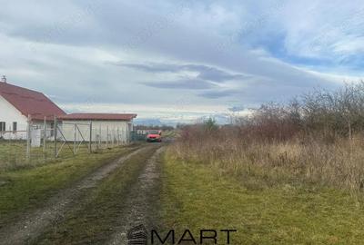 Teren Intravilan 1105 mp Sanpetru - 2