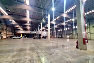 Hala industriala de vanzare Timisoara, trafo propriu 1000 kva - 7