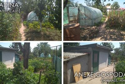 Cumpana, Constanta Cumpana, Constanta - 10