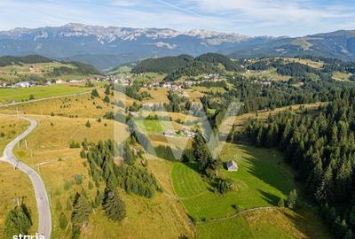 Spațiu comercial, în Ciocanu - 12