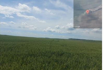 Teren extravilan 5000 mp Loc Plesoiu, Jud Olt - 1