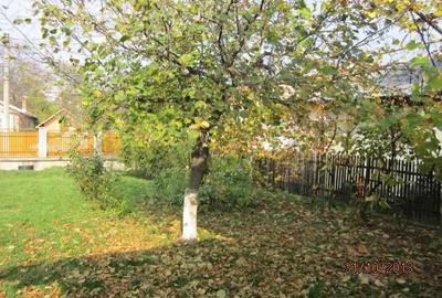 Teren de 4860 mp, în Exterior Vest - 3