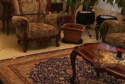 Vila eleganta faleza Dunarii,langa parc,Primaria Corabia-ultracentral,ter.1100mp - 5