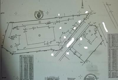 Spațiu comercial, în Parcul Carol - 1