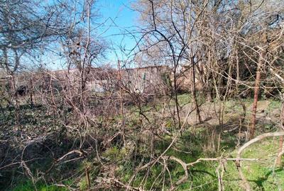 Teren de 990 mp, în Exterior Vest - 6