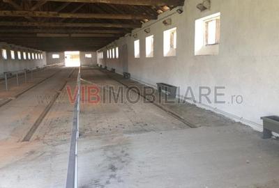 Teren de 301252 mp, în Biled - 17