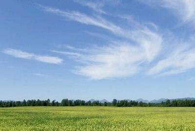 Teren de 4000 mp, în Exterior Vest