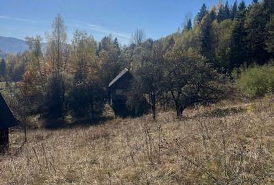 Casă cu 2 camere în Horea