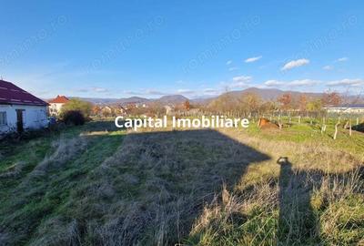 De vanzare: Teren 25 ari parcelabil, in Sasar - 1