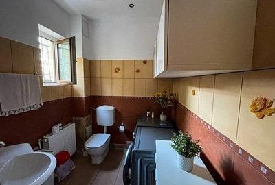 Casă individuală cu 6 camere cu Canalizare în Bd. Laminorului - 18