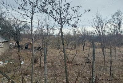 Teren de 3400 mp, în Gălățeni - 1