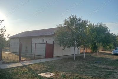 Proprietar vind casa in Hodoni jud Timi?, 17 km de Timi?oara,pre?.72000 Euro - 3
