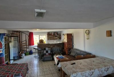Cabana de vanzare, dealul viilor, Ineu - 2