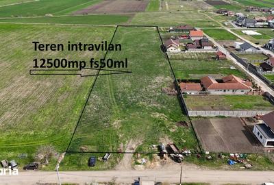 Teren de 12500 mp, în Livada - 3