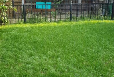 Casă cu 4 camere cu Teren 120 Mp în Mihăilești - 9