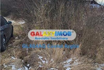 Teren intravilan de 3500 mp, în Smeura - 6