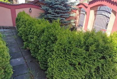 Vilă Bunloc - 10