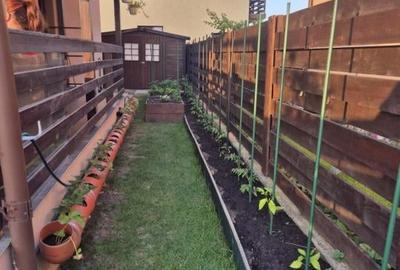 Casă individuală cu 4 camere cu Canalizare în Popas Păcurari - 1