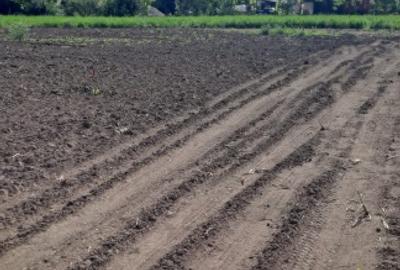 Teren Construcții intravilan de 1000 mp, în Ceacu - 2