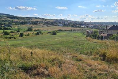 Spațiu comercial, în Borhanci - 5