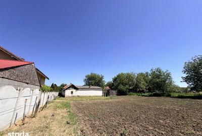Casă cu 6 camere cu Teren 3000 Mp în Cârcea - 11