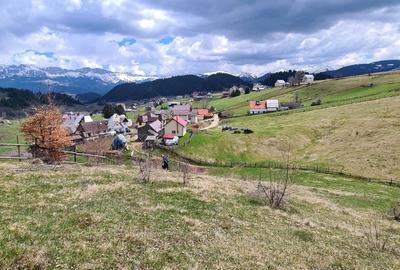 Teren Construcții intravilan de 8487 mp, în Fundata - 4