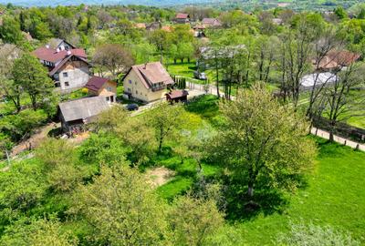 Teren Construcții intravilan de 763 mp, în Tohănița - 17