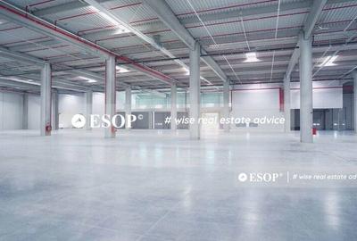 Spațiu comercial, de 2,300 mp, în Mogoșoaia - 1