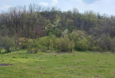 Teren în Central - 10