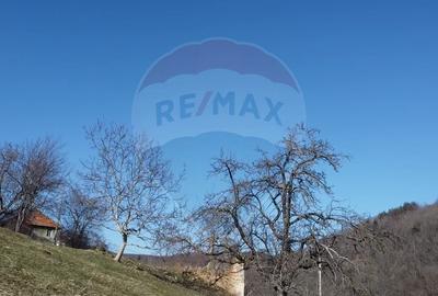 Teren intravilan de 23600 mp, în Inuri - 7