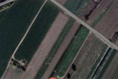 Teren de 2000 mp, în Măgurele