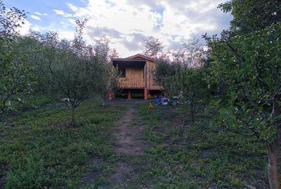 Casă cu 3 camere în Beceni - 7