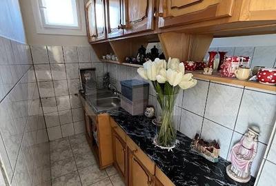 Vila individuala, 190 mp, 8 camere, garaj, curte, zona Lipovei-Timisoara - 4