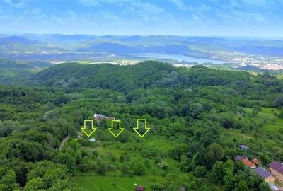 DEALUL MALULUI, TEREN 1500 MP INCONJURAT DE PADURE - 1