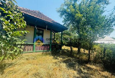 Casu?a cu istorie ideala pentru iubitorii de autentic - 12