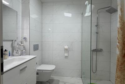 Apartament cu 2 camere semidecomandat, mobilat în Dumbrăvița - 2