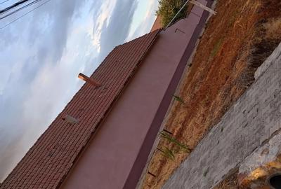 Se vinde sau se schimba cu locuin?a in Arad, casa cu teren mare in Felnac - 10