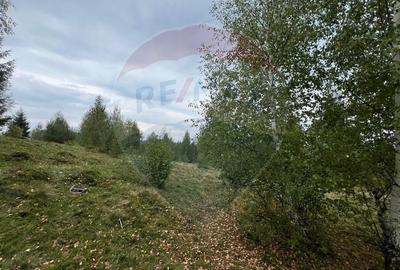 Teren extravilan parcelabil Calatele Padure, zona Dealu Negru - 4
