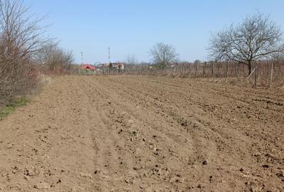 Teren Construcții intravilan de 2400 mp, în Afumați