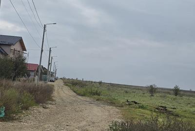 Agigea  Teren cu utilitatii 1 ha cu 500 ml deschidere la strada Crinului - 8