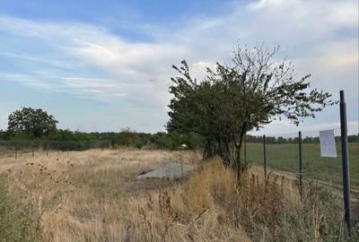 Spațiu comercial, în Malu - 2