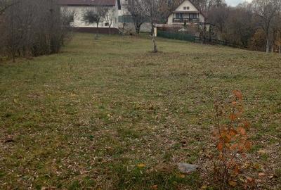 Teren Construcții intravilan de 4062 mp, în Cătunu (Drajna) - 9