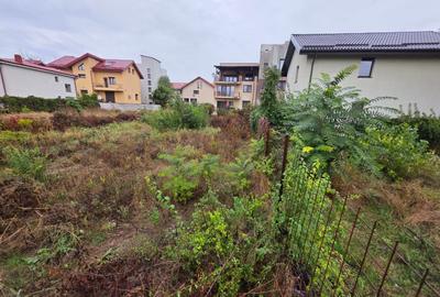 B-ul Nicolae Grigorescu, chiar la pasajul peste Spaliul Unirii, B-ul Nicolae Grigorescu, chiar la pasajul peste Spaliul Unirii, - 2