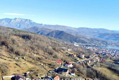 CALIMANESTI, TEREN 1231 MP - 2